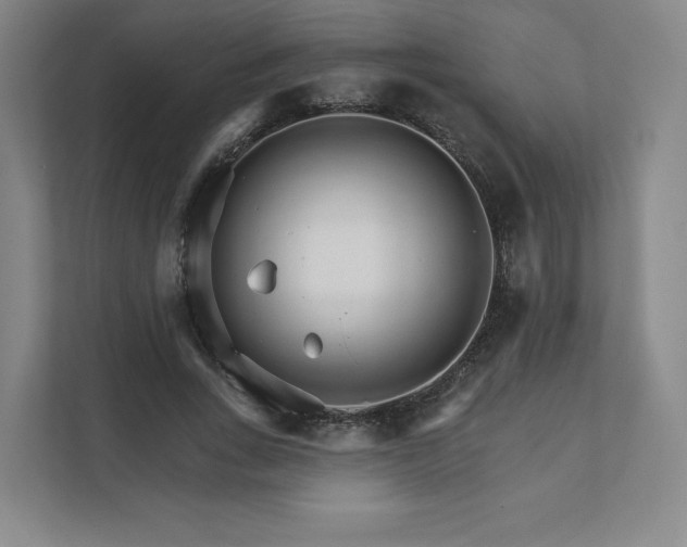 X0000111930735200908031117