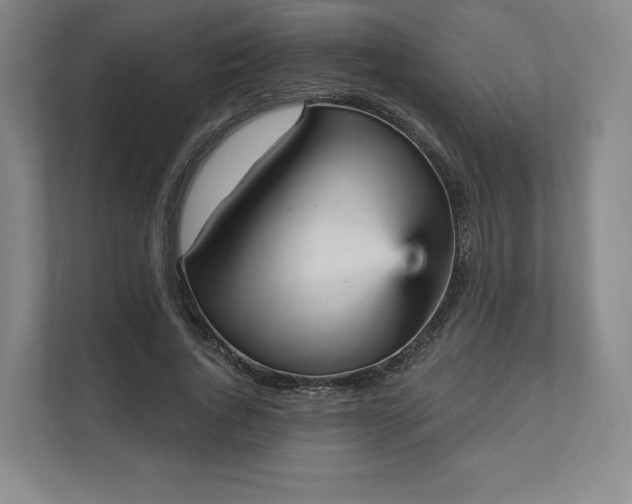 X0000111930736200908031117