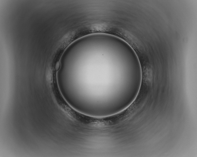 X0000111930738200908031117