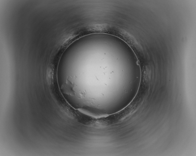 X0000111930739200908031117