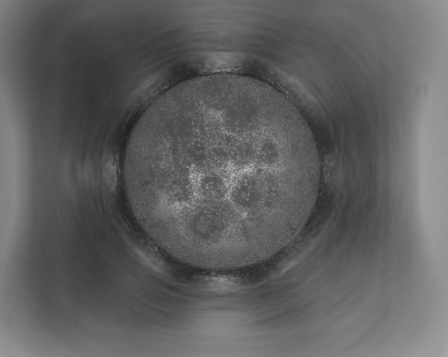 X0000111930741200908031117