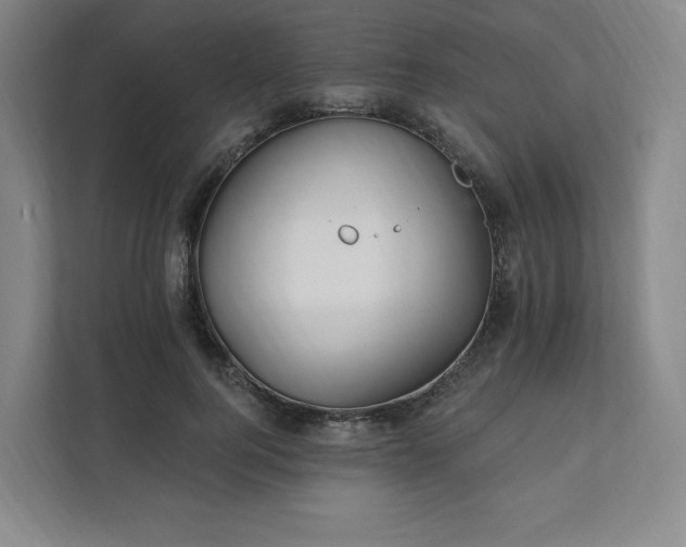 X0000111930744200908031118