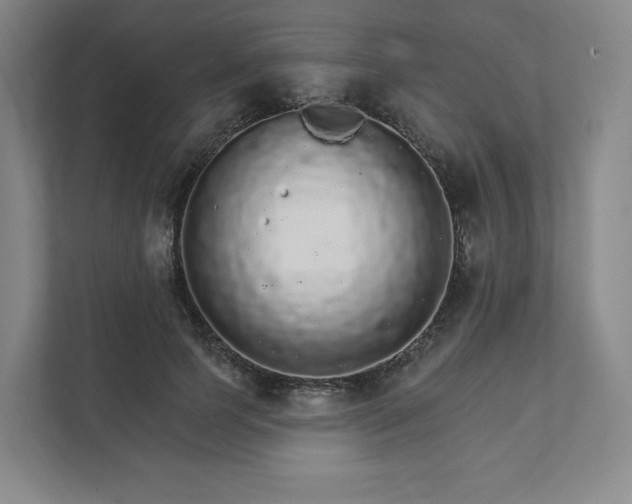 X0000111930745200908031118