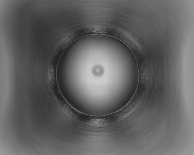 X0000111930748200908031118