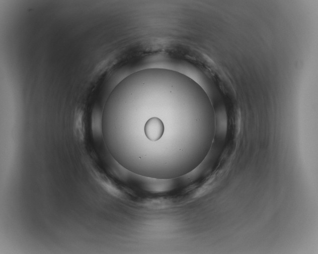 X0000111930750200908031118