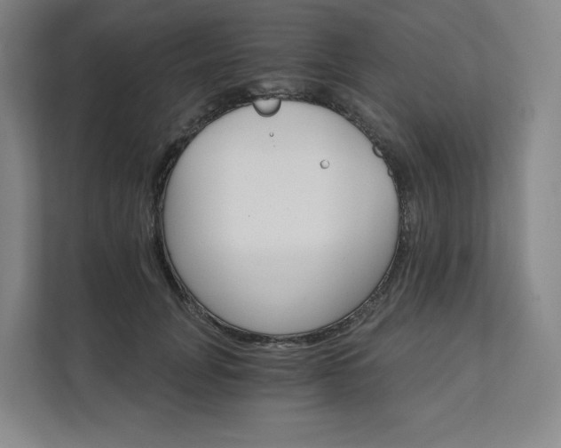 X0000111930751200908031118