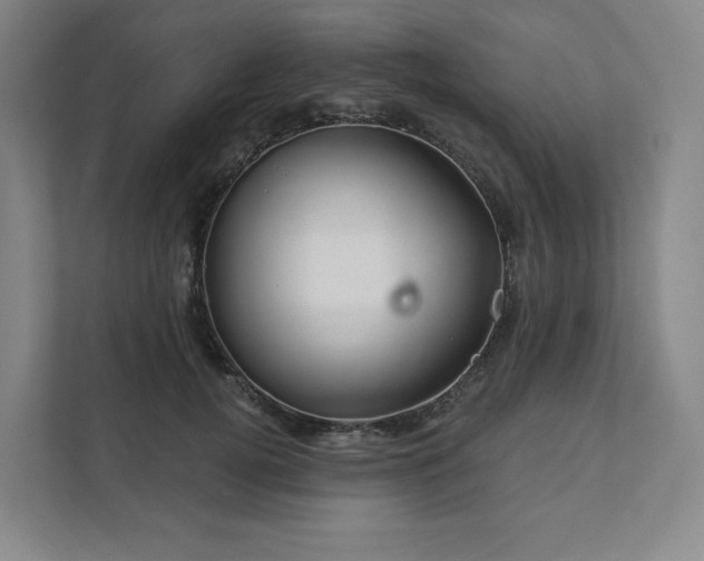 X0000111930752200908031118