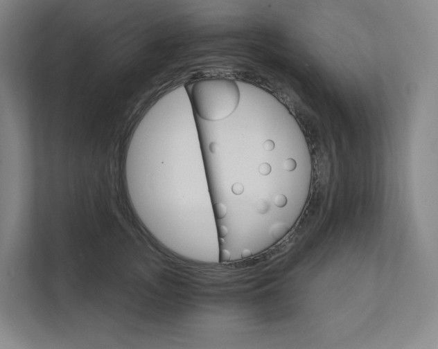 X0000111930755200908031118