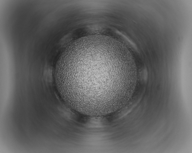 X0000111930757200908031118