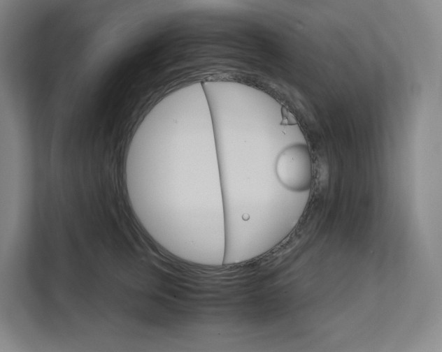 X0000111930759200908031118