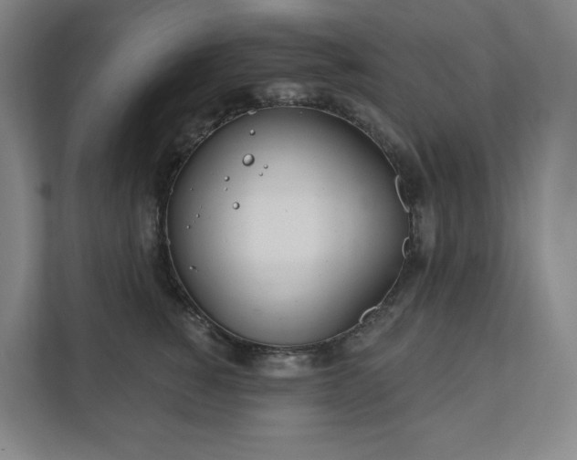 X0000111930760200908031118