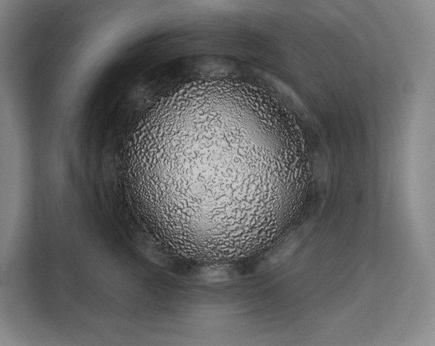 X0000111930761200908031118