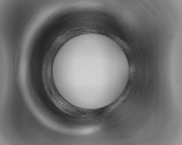 X0000111930765200908031118