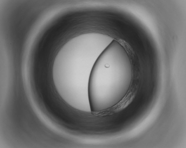 X0000111930766200908031118