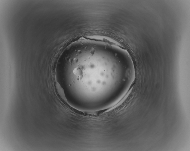 X0000111930769200908031117