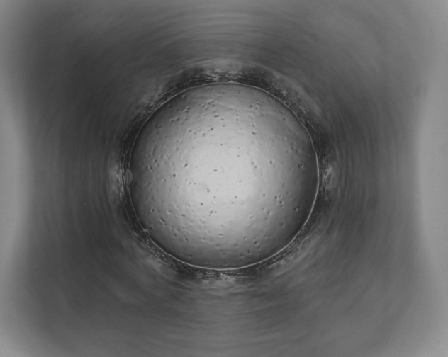 X0000111930772200908031117