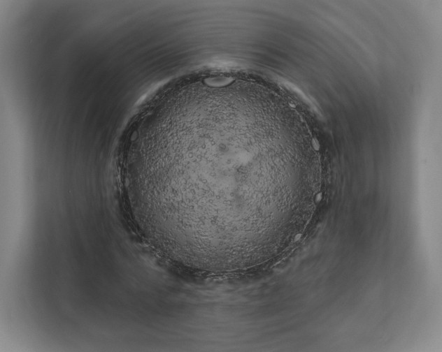 X0000111930776200908031117