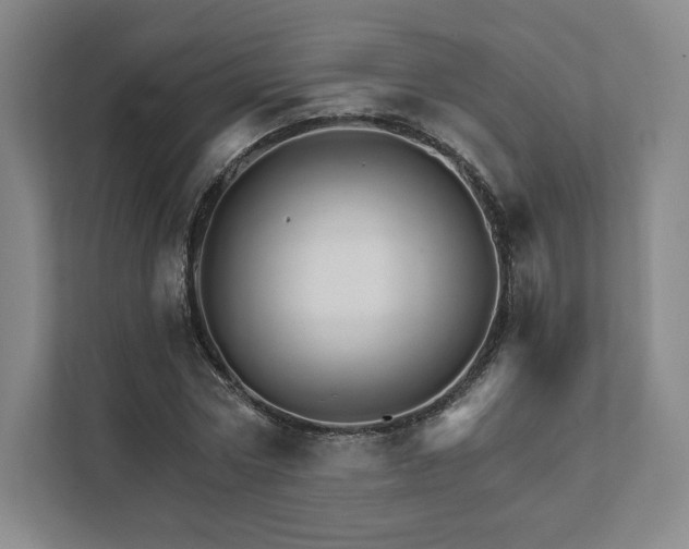 X0000111930778200908031117