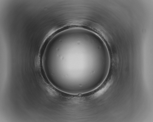 X0000111930779200908031117