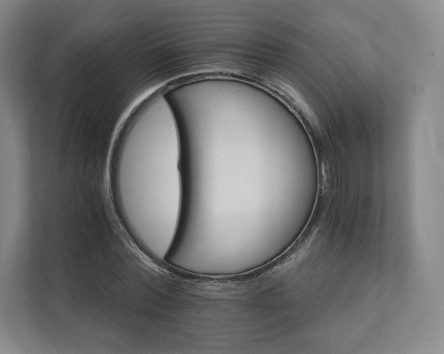 X0000111930780200908031117