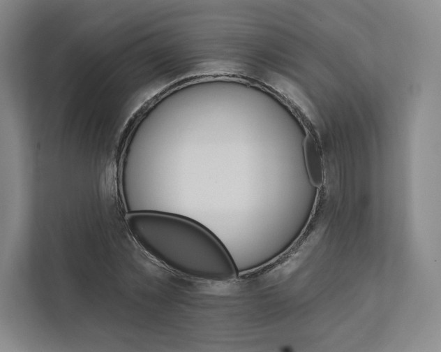 X0000111930781200908031117