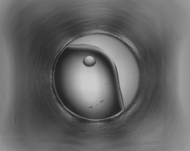 X0000111930793200908031117