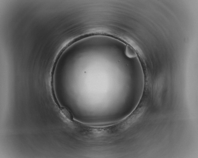 X0000111930799200908031117