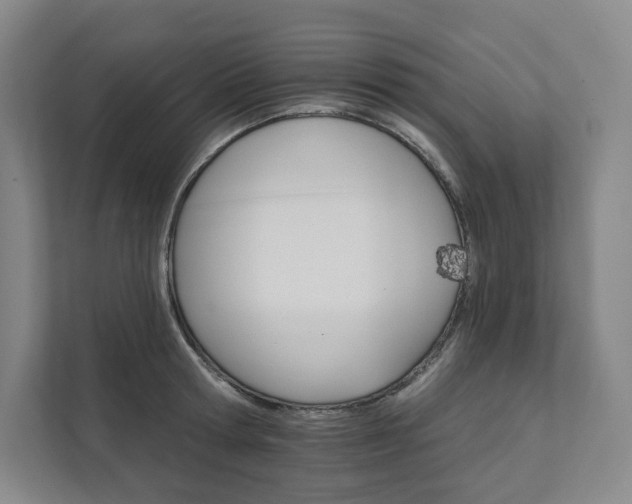 X0000111930802200908031117