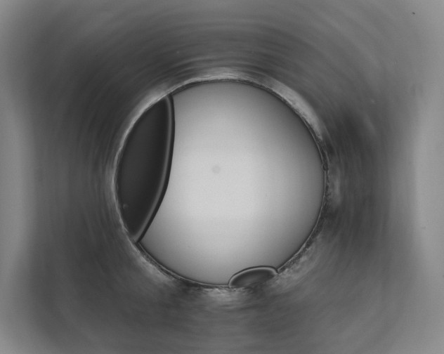 X0000111930805200908031117