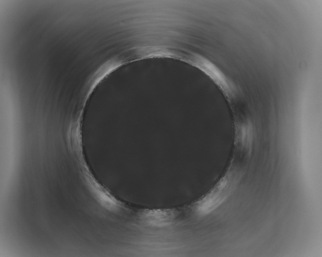 X0000111930806200908031117