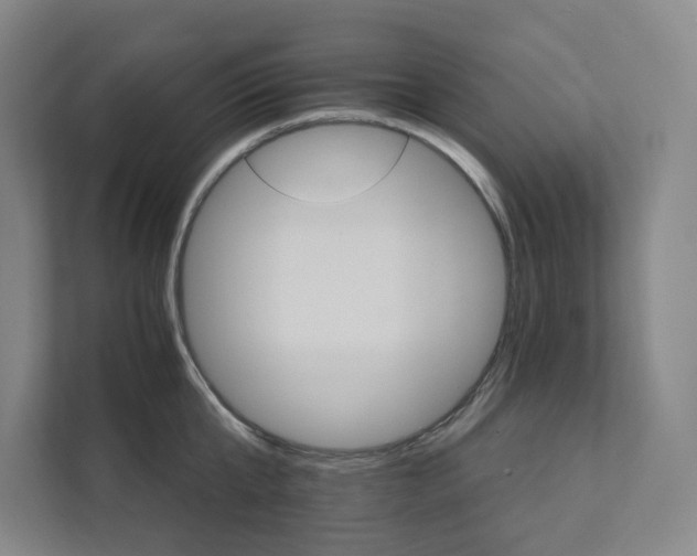 X0000111930807200908031117