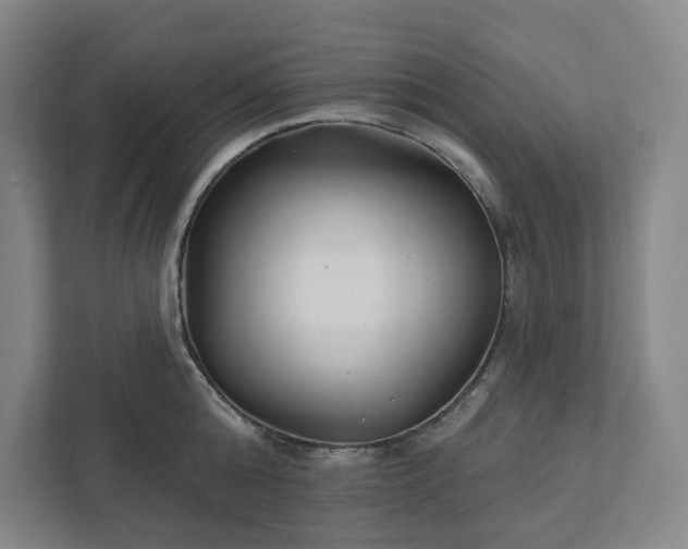 X0000111930808200908031117