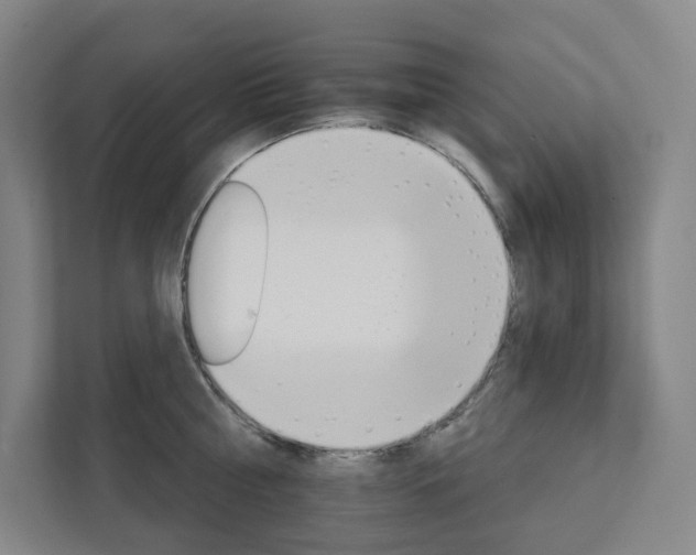 X0000111930810200908031117