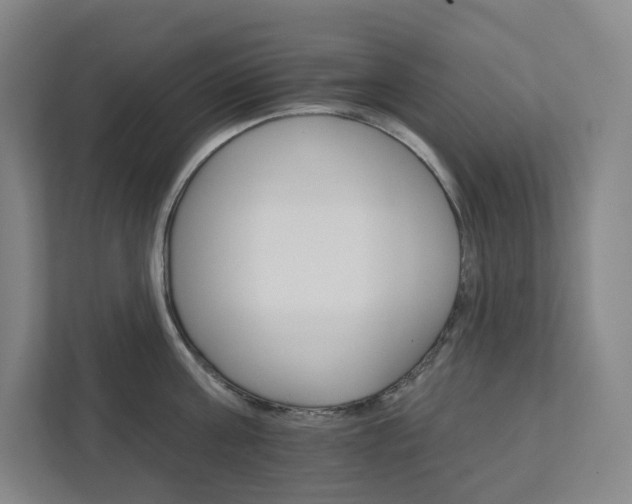 X0000111930811200908031117