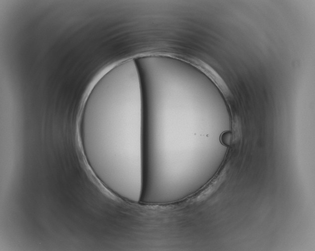 X0000111930812200908031117