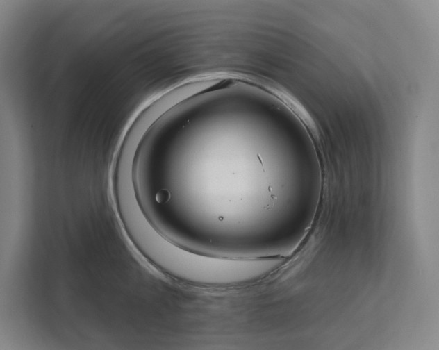 X0000111930813200908031117