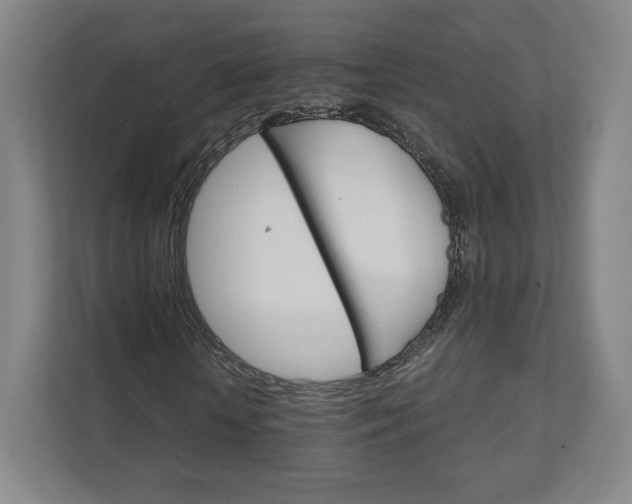 X0000111930818200908031116