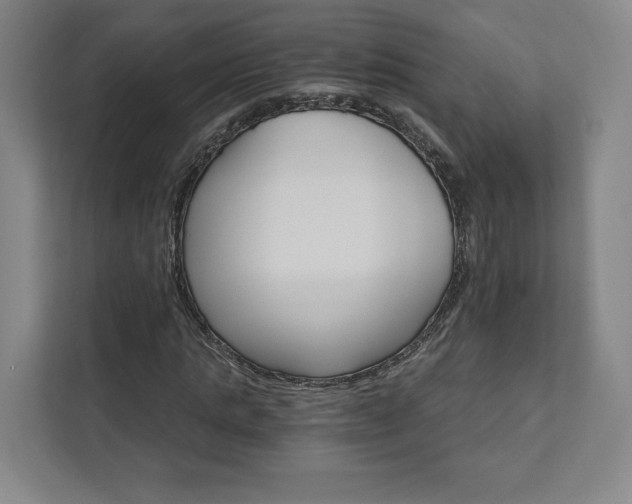 X0000111930821200908031116