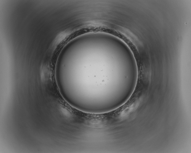 X0000111930823200908031116