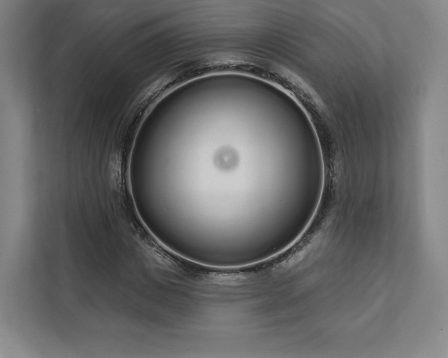 X0000111930825200908031116