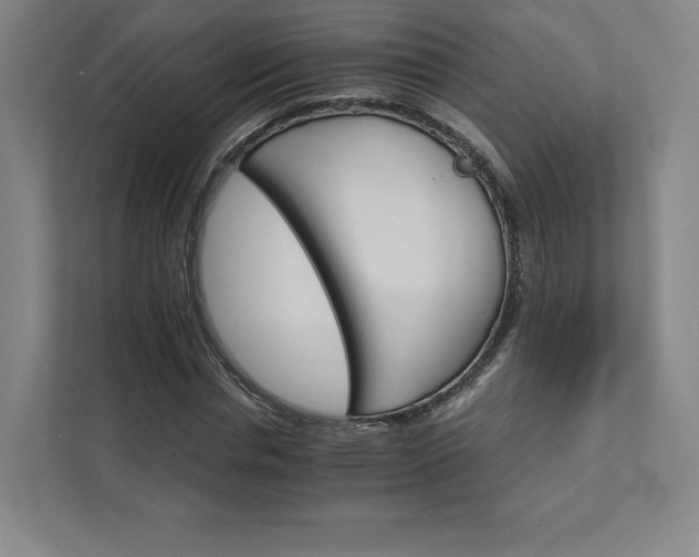 X0000111930826200908031116