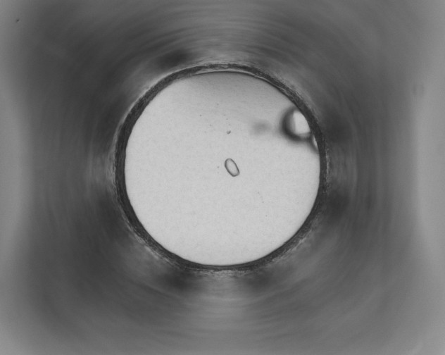 X0000111930828200908031116