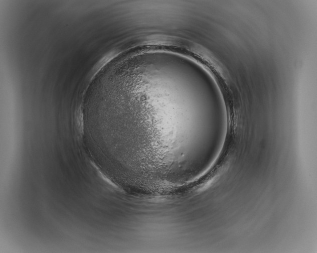 X0000111930829200908031116