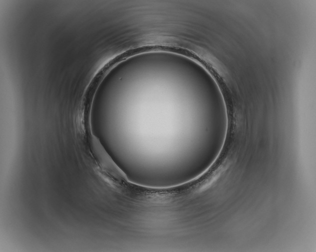 X0000111930830200908031116