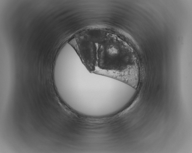 X0000111930833200908031116