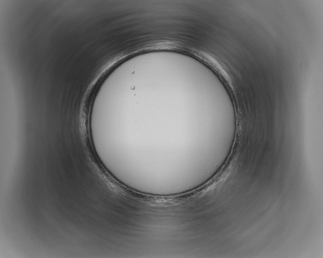 X0000111930835200908031116