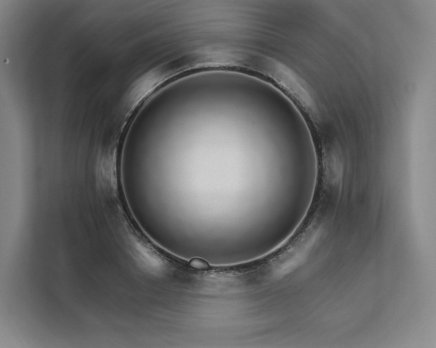 X0000111930842200908031116