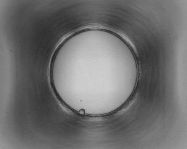 X0000111930845200908031116