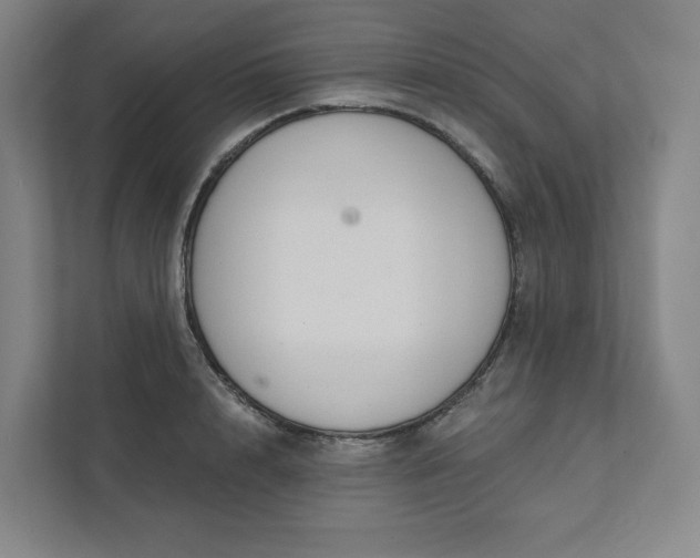 X0000111930848200908031116