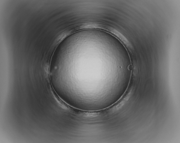 X0000111930849200908031116